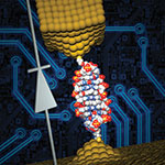 The University of Georgia and Ben-Gurion University research team was able to create a single-molecule diode, which can be used as an active element in future nanoscale circuits.